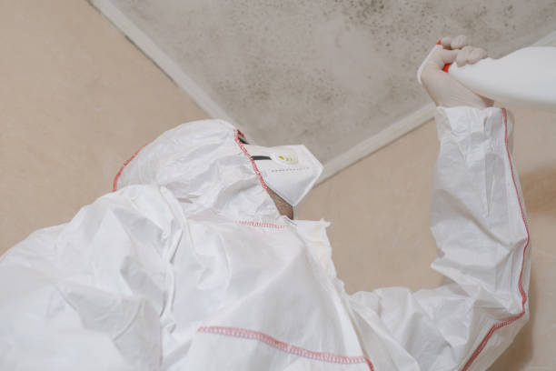 Best Professional Mold Removal  in Orlinda, TN